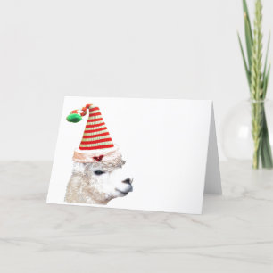 Santa hat ALPACA CHRISTMAS GREETING CARDS