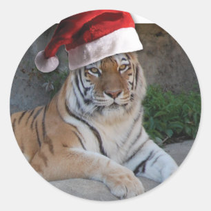 Santa Hat Bengal Tiger Classic Round Sticker