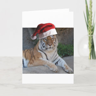 Santa Hat Bengal Tiger Holiday Card