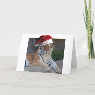 Santa Hat Bengal Tiger Holiday Card