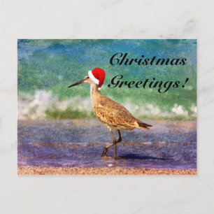 Santa Hat Bird on Tropical Beach Christmas Card