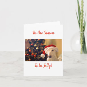 Santa Hat Bull Terrier, Tis the Season  Card