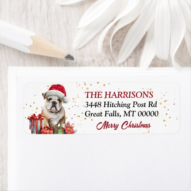 Santa Hat Bulldog Christmas (Insitu)