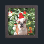 Santa Hat Bulldog Christmas Tree Snowman Gift Box<br><div class="desc">Cute Bulldog photo with Christmas Tree Snowman Gift Box in background. A perfect gift for Christmas!</div>