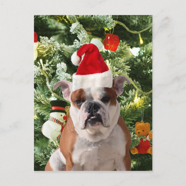 Santa Hat Bulldog Christmas Tree Snowman Gift Box Holiday Postcard (Front)