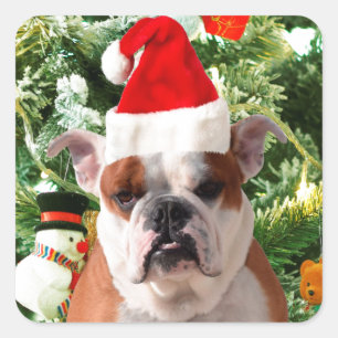 Santa Hat Bulldog Christmas Tree Snowman Gift Box Square Sticker