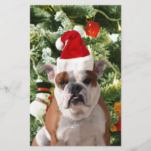 Santa Hat Bulldog Christmas Tree Snowman Gift Box Stationery