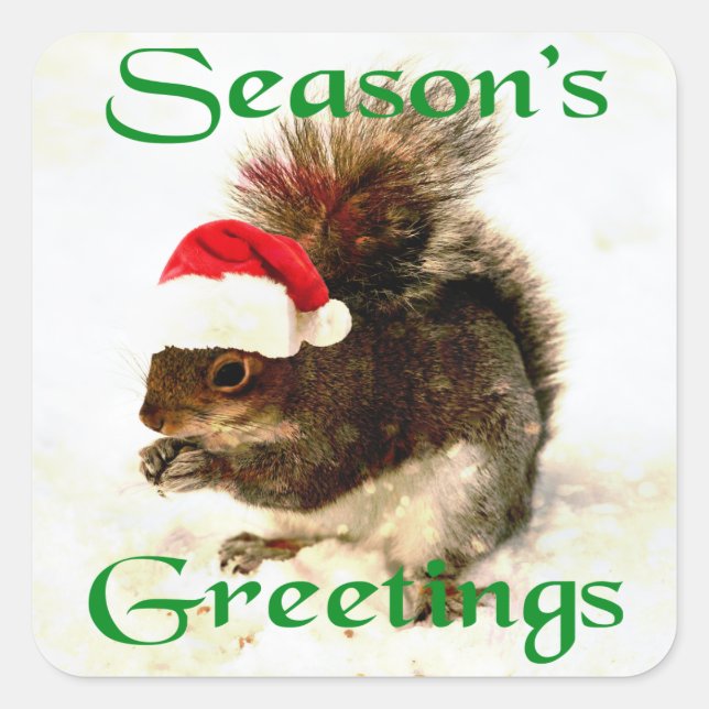 Santa Hat Christmas Squirrel In Snow Square Sticker (Front)