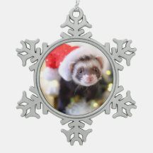 Santa Hat Ferret Christmas