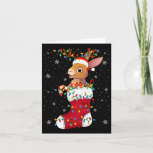 Santa Hat Hare Animal In Socks Xmas Tree Lights  Card