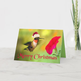 Santa Hat Hummingbird Christmas Holiday Card
