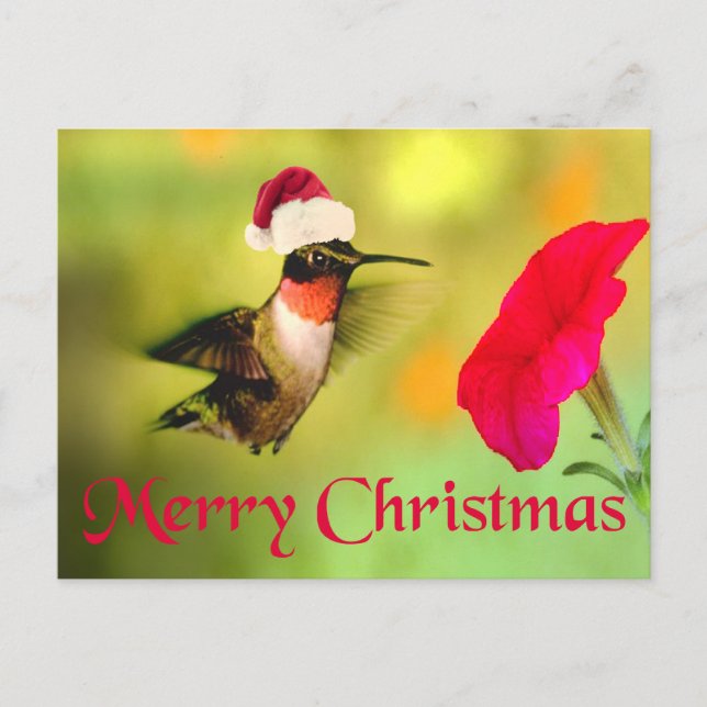 Santa Hat Hummingbird Christmas Holiday Postcard (Front)