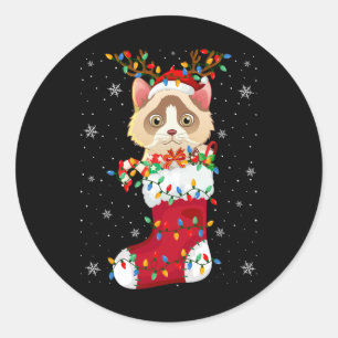 Santa Hat Ragdoll Cat Animal In Socks Xmas Tree Li Classic Round Sticker