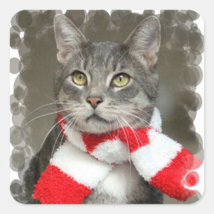 Santa Helper Cat Sticker