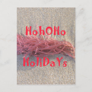 Santa HoHoHo Merry Christmas From Beach colours Holiday Postcard