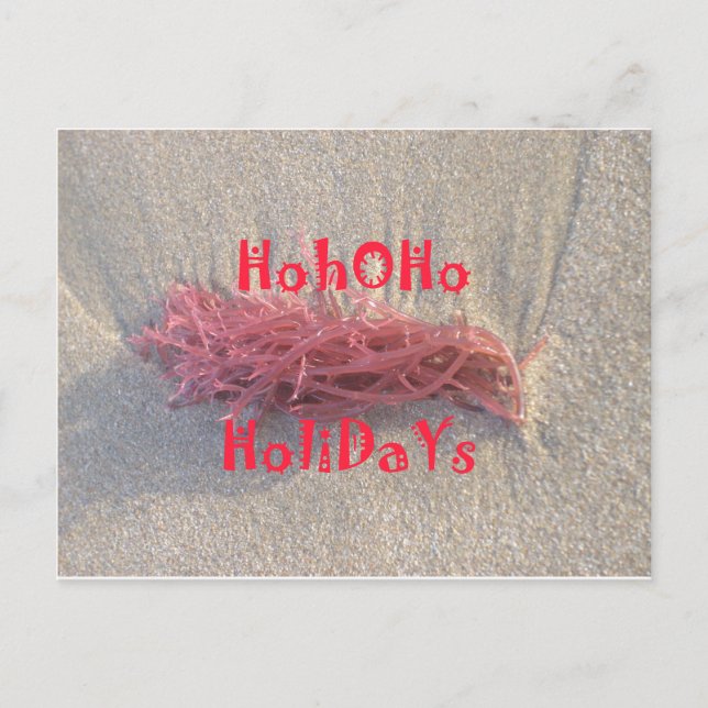 Santa HoHoHo Merry Christmas From Beach colours Holiday Postcard (Front)