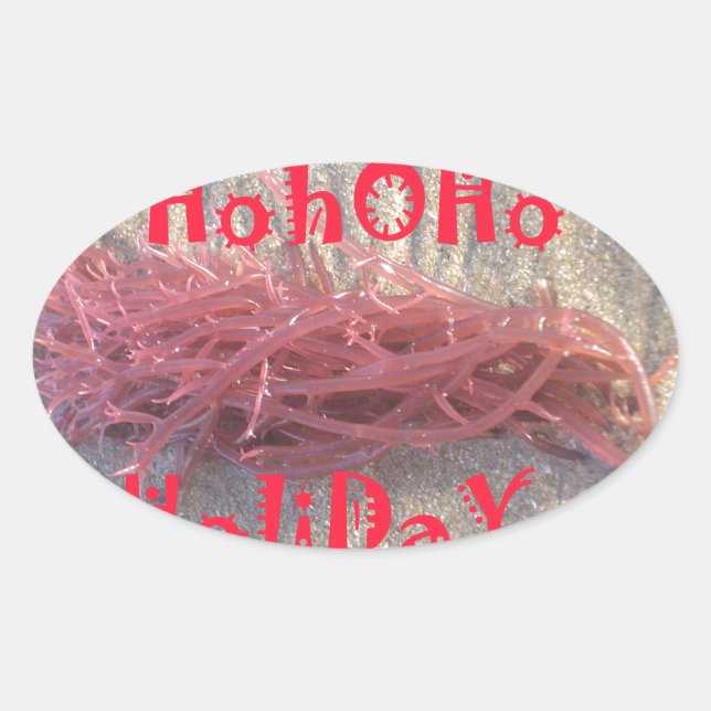 Santa HoHoHo Merry Christmas From Beach colours Oval Sticker (Front)