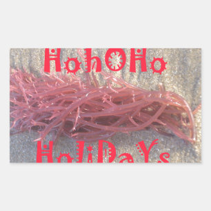 Santa HoHoHo Merry Christmas From Beach colours Rectangular Sticker