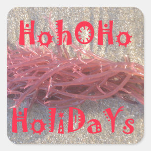 Santa HoHoHo Merry Christmas From Beach colours Square Sticker