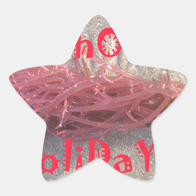 Santa HoHoHo Merry Christmas From Beach colours Star Sticker (Front)