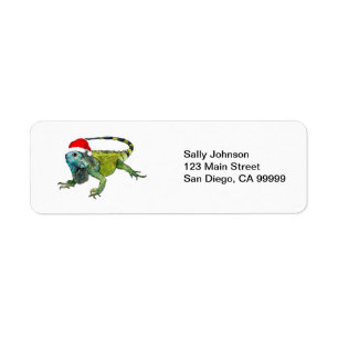 Santa Iguana