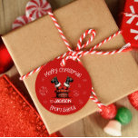 Santa in Chimney Christmas gift hang tag<br><div class="desc">This design is a circle christmas hang tag for gifts. Fully customisable.. You may change the names or leave them blank so that you can write them in yourself later. If you would like to change anything that you cannot change feel free to write me.</div>