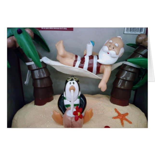 ***SANTA IN HAMMOCK*** SAYS MERRY CHRISTMAS (Front Horizontal)