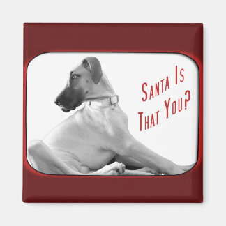 Santa is that you magnet