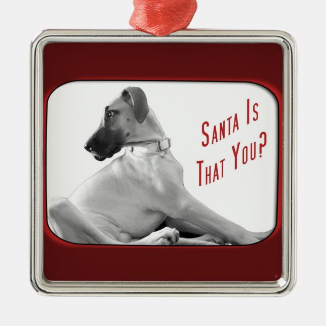 Santa is that you metal tree decoration (Front)