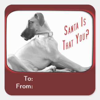Santa is that you square sticker
