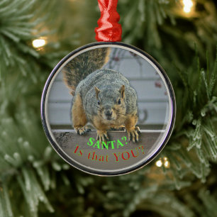 "SANTA, IS THAT YOU?"  WIDE- EYED SQUIRREL ORNAMEN METAL TREE DECORATION