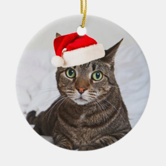 Santa Kip Ceramic Tree Decoration