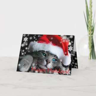 Santa Kitten greeting card