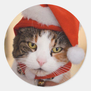 Santa Kitty   Christmas Pookie the Cat Classic Round Sticker