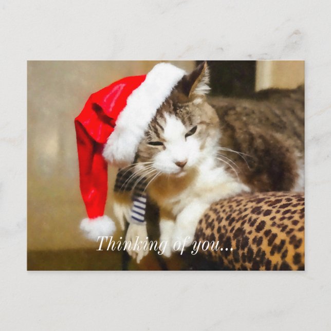 Santa Kitty Painterly Holiday Postcard (Front)