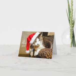 Santa Kitty Painterly Thank You Card