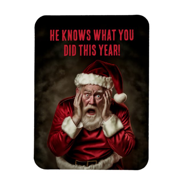 Santa Knows What You Did This Year Funny Christmas Magnet (Vertical)