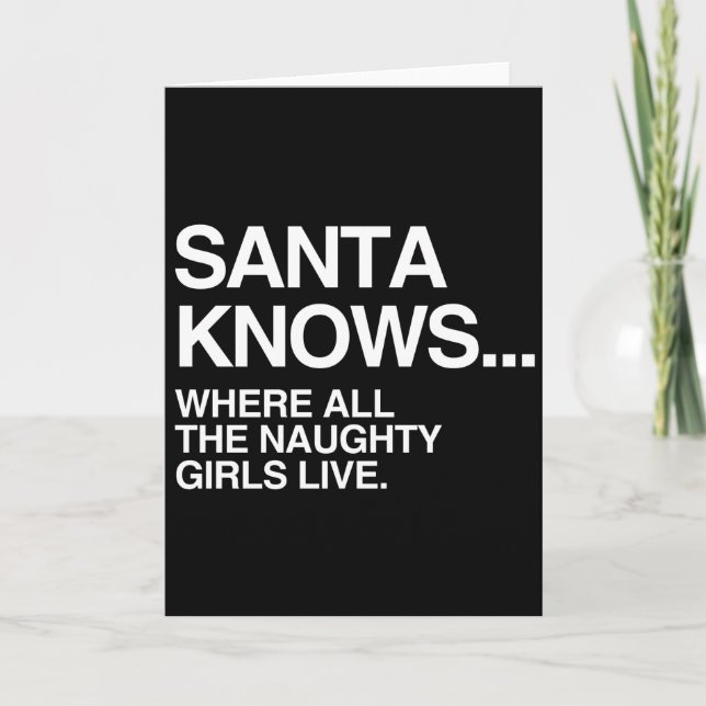 SANTA KNOWS WHERE ALL THE NAUGHTY GIRLS LIVE -.png Holiday Card (Front)