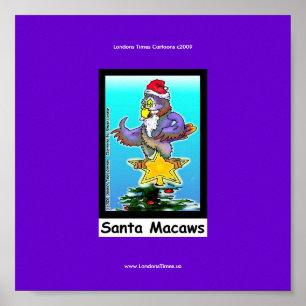 Santa Macaws Funny Cartoon Christmas Bird Poster