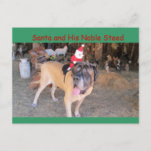 Santa mastiff dog Christmas Postcard Postcrossing