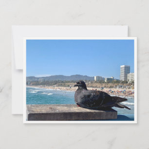 Santa Monica, CA Postcard
