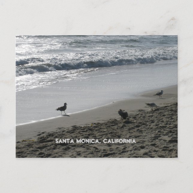 Santa Monica, California Postcard (Front)