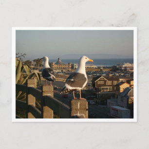 Santa Monica Postcard