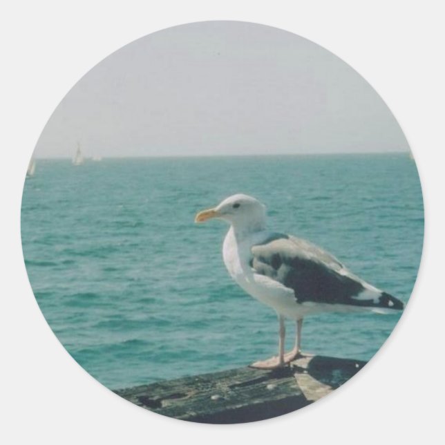 Santa Monica Seagull Classic Round Sticker (Front)