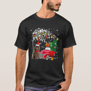Santa Newfoundland Red Pickup Truck Carrying Chris T-Shirt