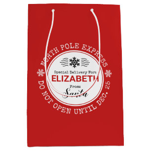 Santa North Pole Special Delivery Christmas Medium Gift Bag