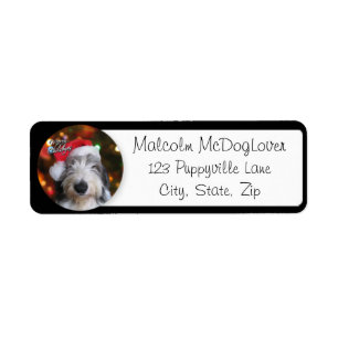 Santa Old English Sheepdog