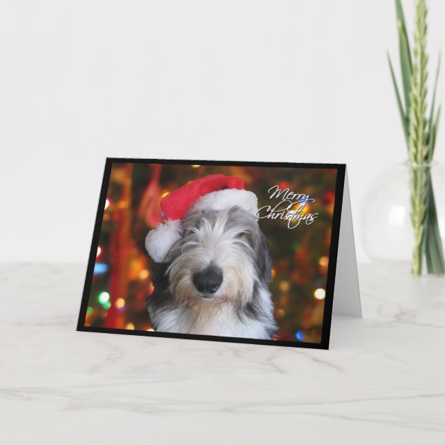 Santa Old English Sheepdog Christmas Card (Front)