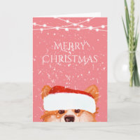  Santa Orange Corgi Merry Christmas  Pink  