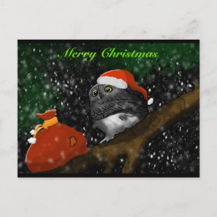 Santa Owl Christmas Card
